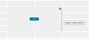 Merged grid cells with Edit and resize